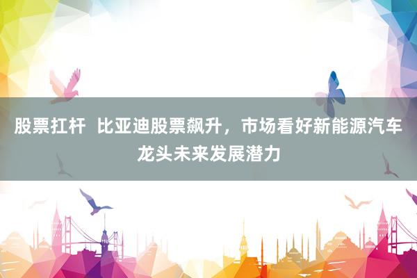 股票扛杆  比亚迪股票飙升，市场看好新能源汽车龙头未来发展潜力